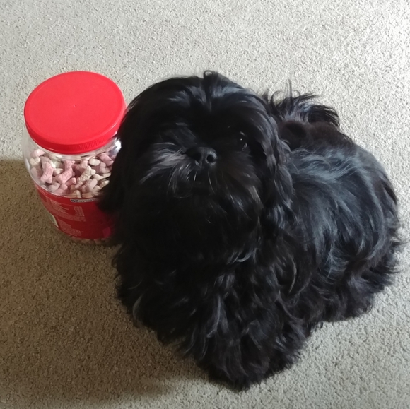 Meet your Poshers Megan and Hector R. - Picture 6 of 10